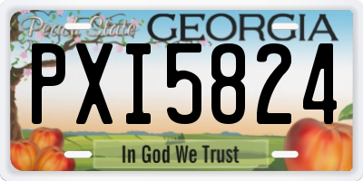 GA license plate PXI5824