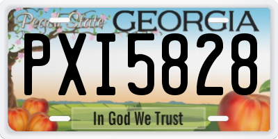 GA license plate PXI5828