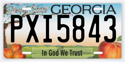 GA license plate PXI5843