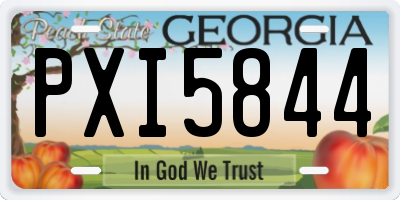 GA license plate PXI5844