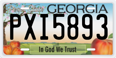 GA license plate PXI5893