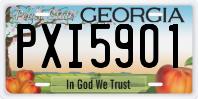 GA license plate PXI5901