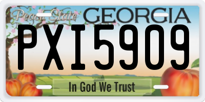GA license plate PXI5909