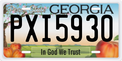 GA license plate PXI5930