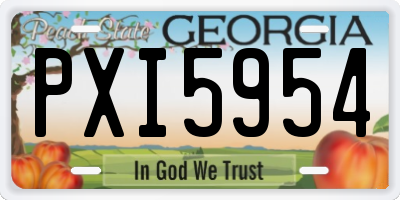GA license plate PXI5954