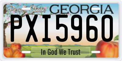 GA license plate PXI5960