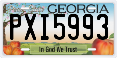 GA license plate PXI5993