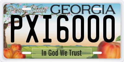 GA license plate PXI6000