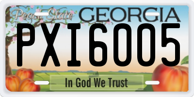 GA license plate PXI6005