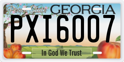 GA license plate PXI6007