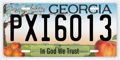 GA license plate PXI6013