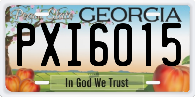GA license plate PXI6015