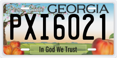 GA license plate PXI6021