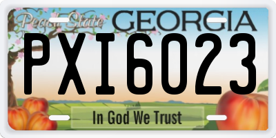GA license plate PXI6023