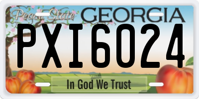 GA license plate PXI6024