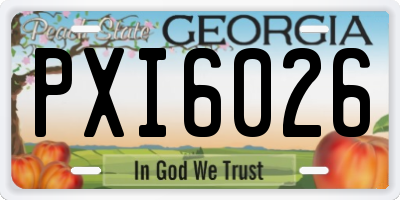 GA license plate PXI6026
