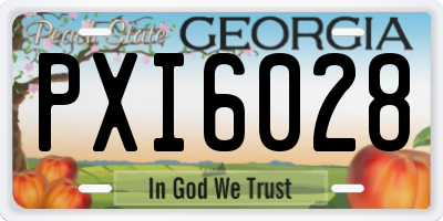 GA license plate PXI6028