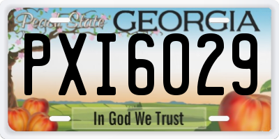 GA license plate PXI6029