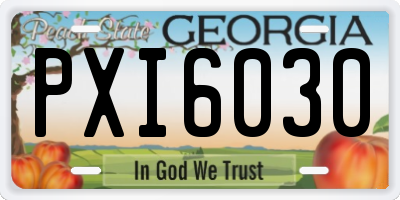 GA license plate PXI6030
