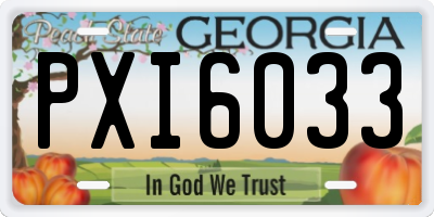 GA license plate PXI6033