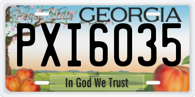 GA license plate PXI6035