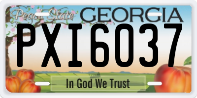 GA license plate PXI6037