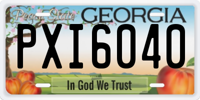 GA license plate PXI6040