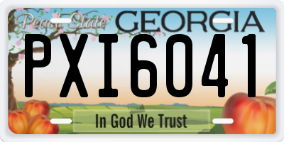 GA license plate PXI6041