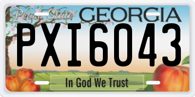 GA license plate PXI6043