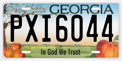 GA license plate PXI6044