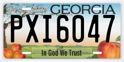 GA license plate PXI6047