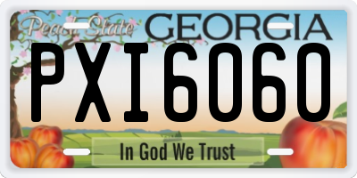 GA license plate PXI6060
