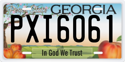 GA license plate PXI6061