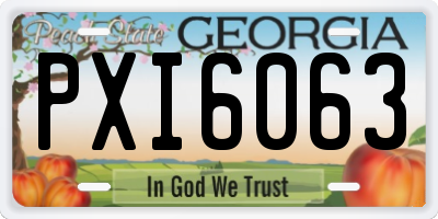 GA license plate PXI6063