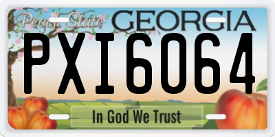 GA license plate PXI6064