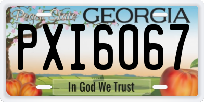 GA license plate PXI6067