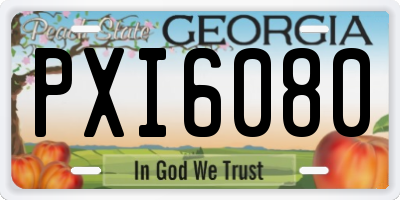 GA license plate PXI6080