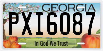 GA license plate PXI6087