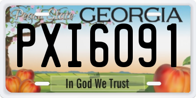 GA license plate PXI6091