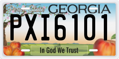 GA license plate PXI6101