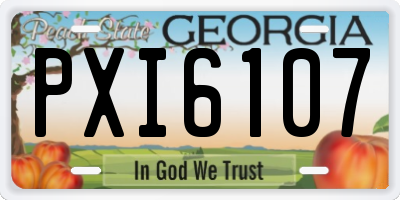 GA license plate PXI6107