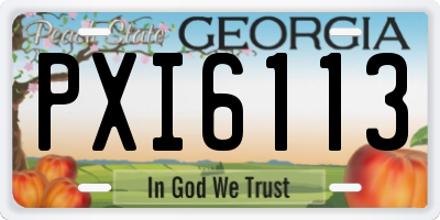 GA license plate PXI6113