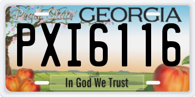 GA license plate PXI6116