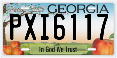 GA license plate PXI6117