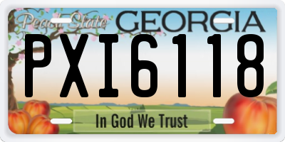 GA license plate PXI6118