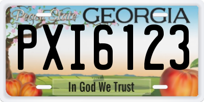 GA license plate PXI6123