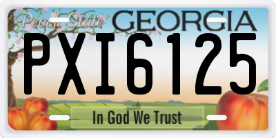 GA license plate PXI6125