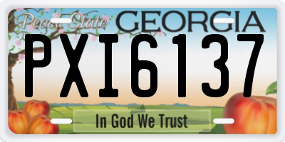 GA license plate PXI6137