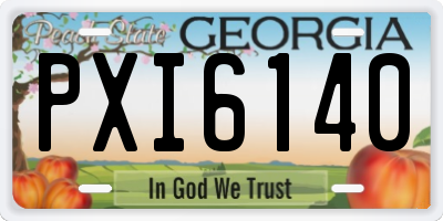 GA license plate PXI6140