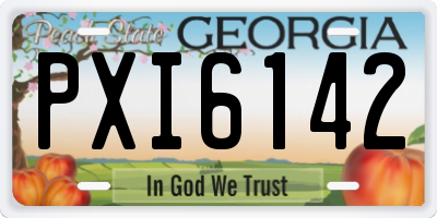 GA license plate PXI6142